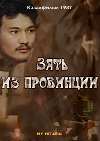 Зять из провинции (1987)