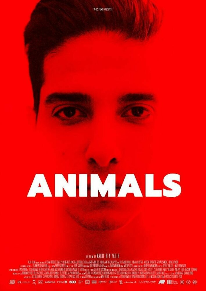 Animals (2021)