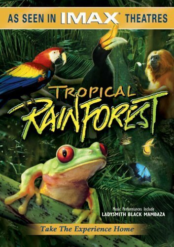 Тропический лес (1992)